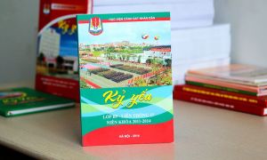 IN TÚI GIẤY